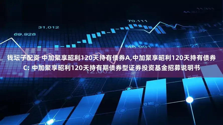 钱坛子配资 中加聚享昭利120天持有债券A,中加聚享昭利120天持有债券C: 中加聚享昭利120天持有期债券型证券投资基金招募说明书